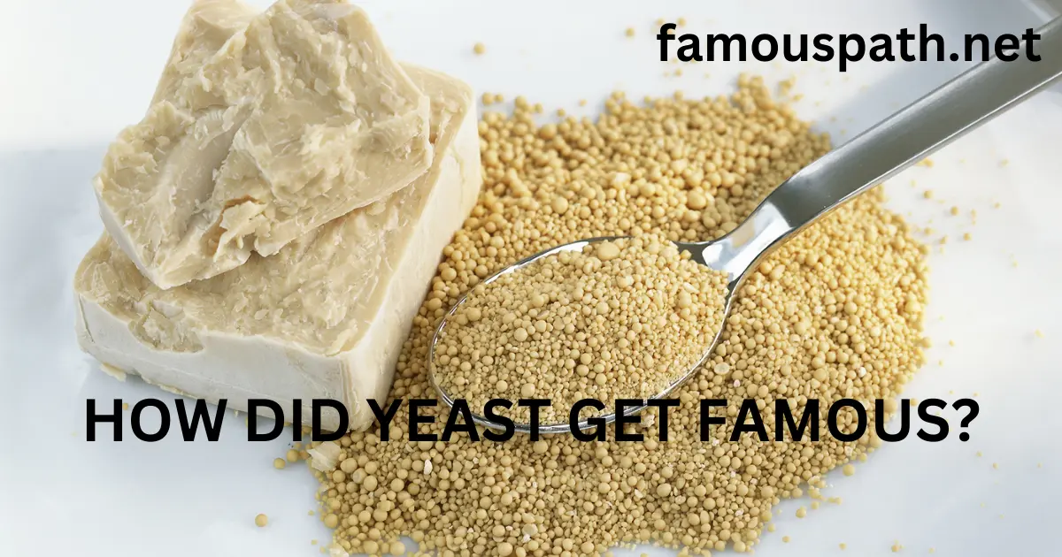 how did yeast get famous